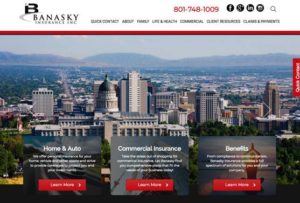 frisco web design - banasky insurance