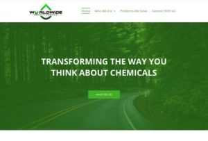 website design - worldwide chemicals