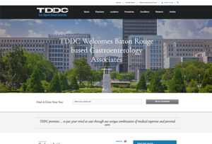 web development - TDDC